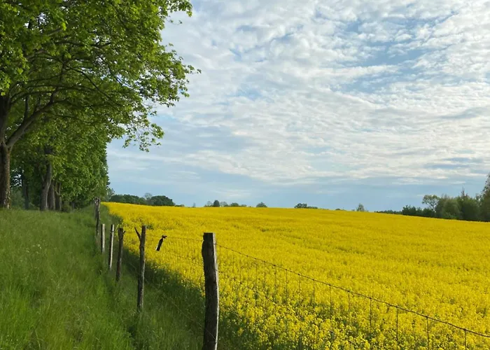 Level Dom wakacyjny *