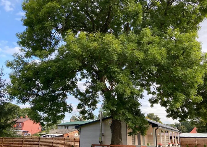 Level Miastko (Bytow)